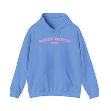 Load image into Gallery viewer, 2025 BB Hoodie
