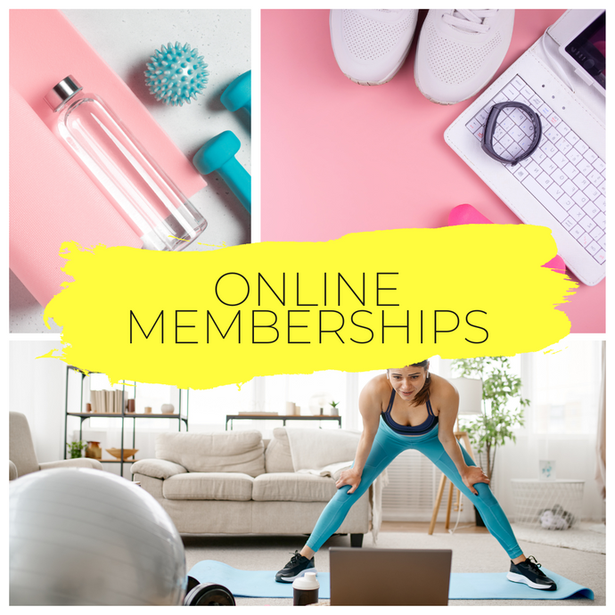Wellness Warrior Online Membership